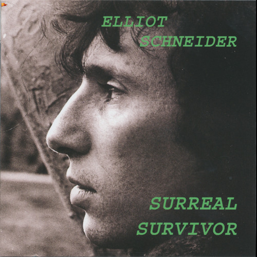 Elliot Schneider’s avatar