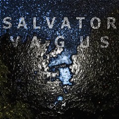 Salvator Vagus