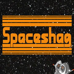 spaceshag