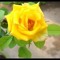 user257257048