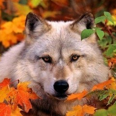 Добрыня Богатырёв
