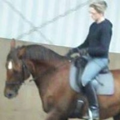 feinster Ohrenschmaus