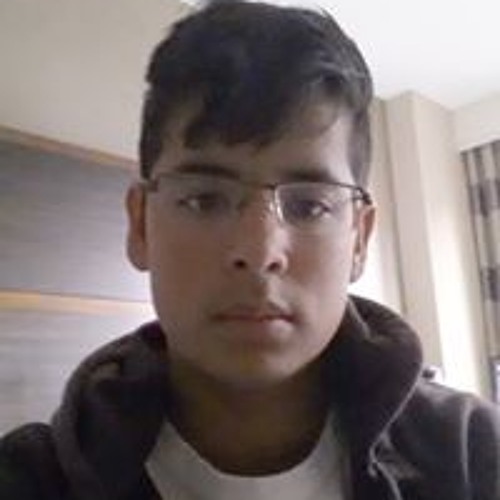 Nik Shankar-Noble’s avatar