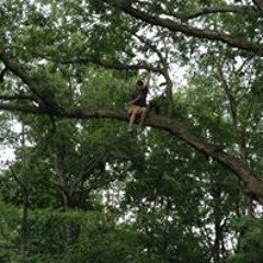 Mitchell Dougie Kesterson