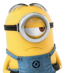 Nermeen Mostafa Rakha