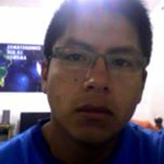 Alvaro Saúl Mamani Mollo