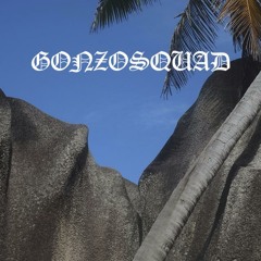 GONZOSQUAD