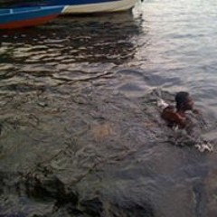 Simon David Ohene Marfo