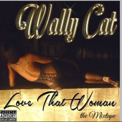 Wally Cat