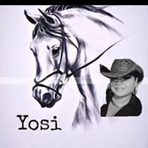 La Indomable Yosi’s avatar