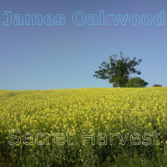 James Oakwood