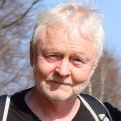Skurvelua spelar Polska efter Magnus Olsson