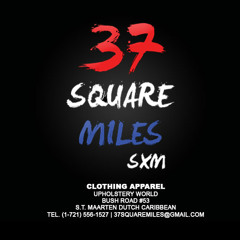 37 Square Miles