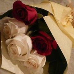 Ana Ahmed