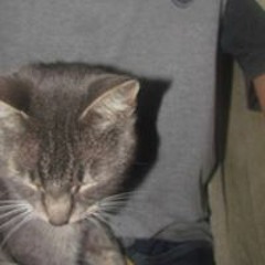 Washimingo Barrientos