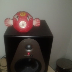 Fishtems Guy ( Bri in The Sky )