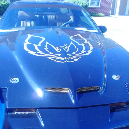 Stream Listen to fresh playlist online for free on