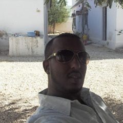 user805380331