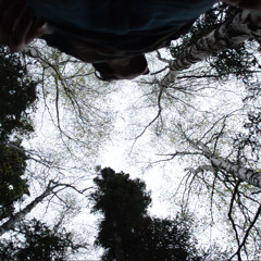 Treelung