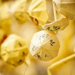 Caesar Fung Ming Fai