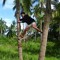 Von Ryan Mendoza