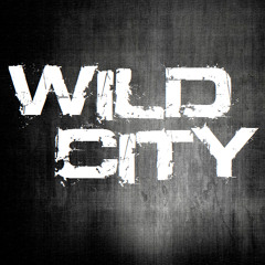 Wild City Band