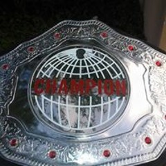 Alesha Waitforit Swift