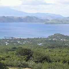 Ian Nevisbigpappa Taylor