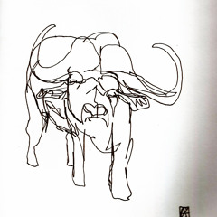 waterbuffalo