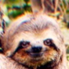 SLOTH!