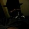 user398531099