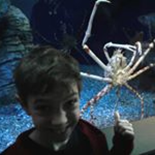 Stream Metal Gear Rising Revengeance, Sundowner's Theme. Red Sun Lyrics