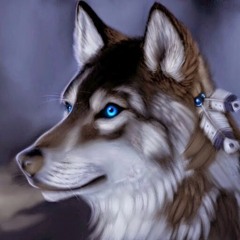 Patrick Schibitschek