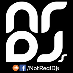NotRealDJsDemo