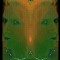 allume96