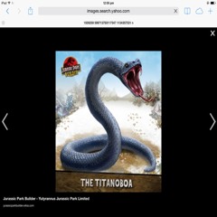 snake of caribbean