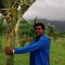 Ananda Meena