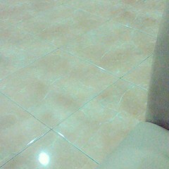 user709821398