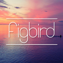 FigBird