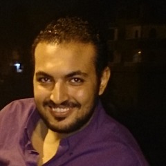 Ahmed Abd Al Fattah