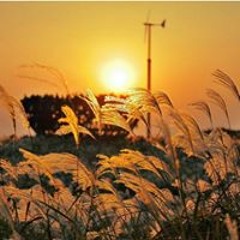 Monserrat Martinez Santos