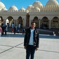 Mahmoud Haridy