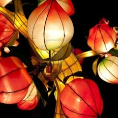 慧慈