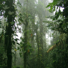 seems legit, doesn´t it ?