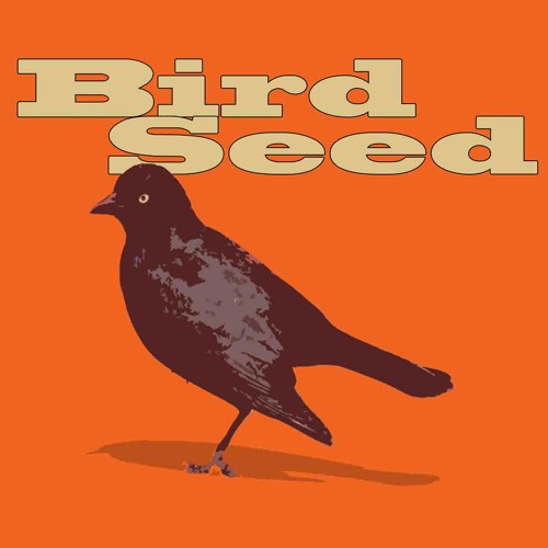 BirdSeed’s avatar