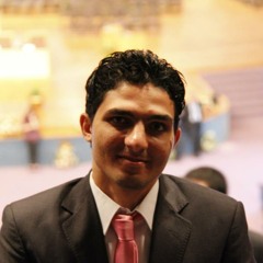 Mahmoud Niazy Moghieb