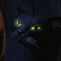 SSZ_Chunks