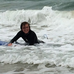 gijsvmaarschalkerwaart