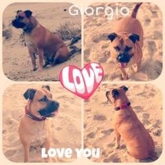 Stephanie Love Kevin