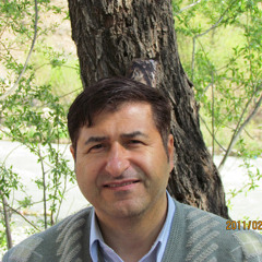 younes bahadori
